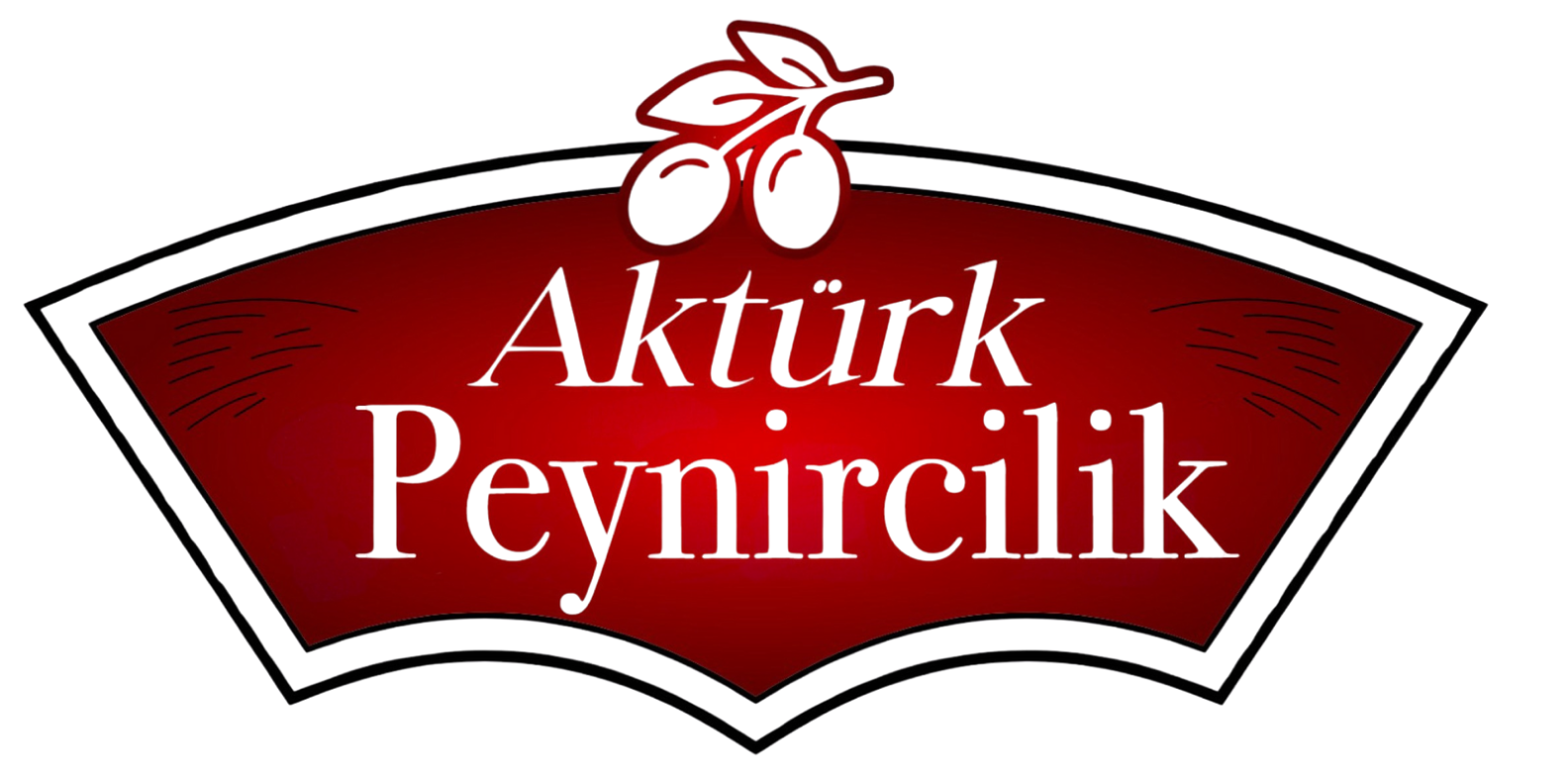PEYNİR